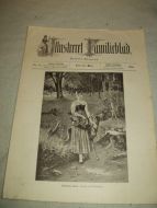 1894,nr 018,                       Illustrere Familieblad.