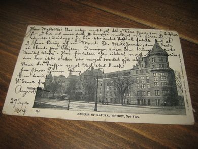 MUSEUM OF NATURAL HISTORY. NEW YORK. 1904.