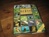 SVENSSON, LARS: PHOTOGRAPHING GUIDE TO THE BIRDS OF BRITAIN & EUROPE. 1300 colour photographs. 2001.