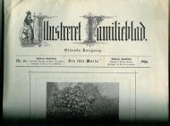 1894,nr 010, Illustreret Familieblad