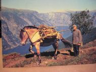 Norge. Til sæters. Enerett E.A. Vikesland, Aurland. 70 tallet.