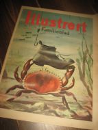 1945,nr 035, 36, Illustrert Familieblad. 