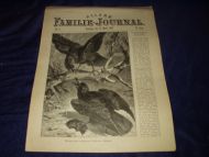 1898,nr 011, Allers Familie Journal