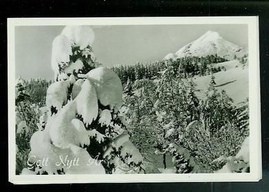 Vinter, nyttårskort fra 40 tallet.