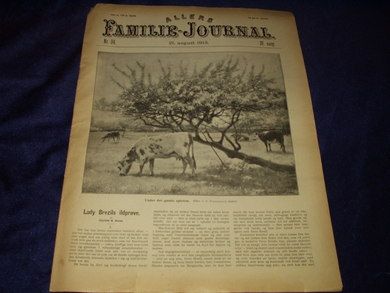 1913,nr 034, Allers Familie Journal