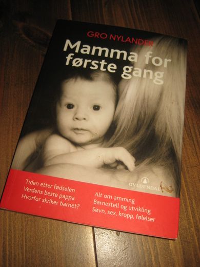 NYLANDER: MAMMA FOR FØRSTE GANG. 2007. 