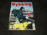 2003,nr 003, Dykking