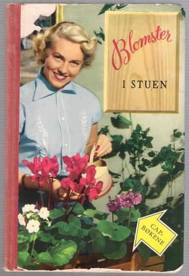 Sjøbeck, Einar: Blomster i stuen. 1954