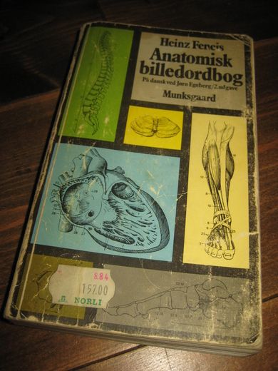 Feneis: Anatomisk billedordbog. 1983. 