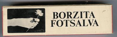 Borzita Fotsalve